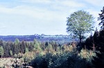05.05.1968: Blick ber die Forstwiese nach Herrenreuth