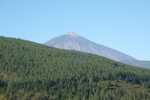 26.02.2012: Teneriffa - Blick vom Organos-Hhenweg zum Pico del Teide