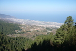26.02.2012: Teneriffa - Blick vom Organos-Hhenweg auf Puerto de la Cruz