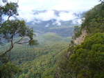 25.03.2006: Blue Mountains (bei Sydney) - Blick ber das Gebiet