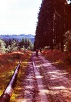 25.07.1970: Streckerweg von Waldhaus nach Pohlitz, Blick nach Herrenreuth