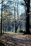 30.10.1966: Herbst im Greizer Park