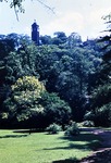 Juli 1963: Im vorderen Teil des Greizer Parks; heller Baum ist eine Goldulme