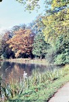 Anfang Oktober 1963: Herbst am Parksee