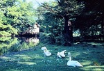 30.05.1965: Greizer Park