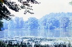 Juli 1963: Seerosenwinkel im Parksee