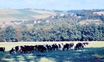 September 1964: Blick vom Aschephl ber den Hirschberg nach Pohlitz