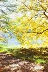 08.10.1972: Herbst am Hirschteich
