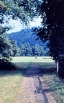 07.07.1968: Weg zum Weien Kreuz