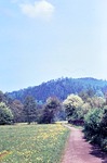 13.05.1967: Weg vom Greizer Park zum Weien Kreuz