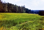 03.06.1974: Wiese zwischen Schltenmhle und Schwarzem Teich