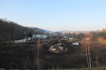 24.01.2020: Blick von der Mylauer Strae auf die Reste der Gartenanlage
