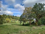 13.10.2024: Blick von der Reichenbacher Strae - nicht mehr wiederzuerkennen.