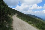 03.07.2016: Rilagebirge - Weg zurck zur Seilbahn