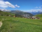 15.06.2026: Arosa - Medergen am Schanfigger Höhenweg