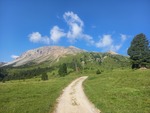19.07.2024: Unterengadin - Blick vom Weg zwischen der Alp Buffalora und der Alp Marangun zum Munt Buffalora
