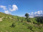 19.07.2024: Unterengadin - im Schweizer Nationalpark nahe der Alp Marangun
