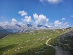 19.07.2024: Unterengadin - im Schweizer Nationalpark nahe des Munt la Schera