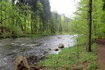 07.05.2015: Sonstiges - Wilde Adler im Schutzgebiet Zemská brána