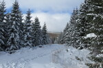 03.04.2015: Harz - zwischen Ilsenburg und Brocken