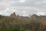 16.08.2020: Pflzerwald - Blick von der B 427 sdlich von Dahn zum Lmmerfelsen am Morgen