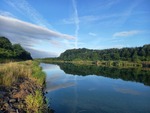 11.08.2024: Sachsen-Anhalt (Sonstiges) - Elbe-Havel-Kanal stlich von Parey