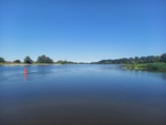 13.08.2024: Elbe bei Derben