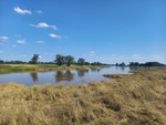 20.08.2024: Elbe bei Lowig