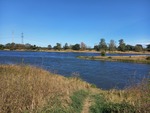 15.09.2024: Mndung der Saale (vorn) in die Elbe bei Barby