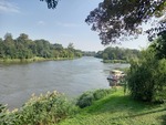 17.09.2024: Sachsen-Anhalt (Sonstiges) - Mndung der Bode (rechts) in die Saale in Nienburg