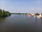 18.09.2024: Sachsen-Anhalt (Sonstiges) - Blick von der Saalebrcke in Alsleben flussabwrts