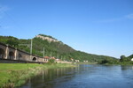 18.05.2023: Schsische Schweiz - Blick vom Elbufer in Knigstein zur Festung