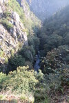 03.10.2014: Harz - im Bodetal zwischen Treseburg und Thale