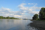 26.07.2023: Rhein - oberhalb des Andernacher Hafens mit der Brücke der B 256