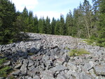 16.04.2017: Harz - Gerllhalde unterhalb der Hammersteinklippe