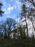 17.04.2017: Harz - Ilfelder Wetterfahne