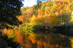 13.10.2018: Sachsen (Sonstiges) - an der Zwickauer Mulde bei Cainsdorf