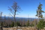 19.04.2019: Bayerischer Wald - am Aufstieg zum Groen Rachel vom Gfll aus