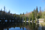 21.04.2019: Bayerischer Wald - an der Martinsklause unterhalb des Lusen