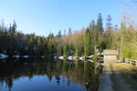 21.04.2019: Bayerischer Wald - an der Martinsklause unterhalb des Lusen