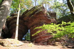 18.08.2020: Pflzerwald - Altschlossfelsen bei Eppenbrunn