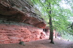 18.08.2020: Pflzerwald - Altschlossfelsen bei Eppenbrunn