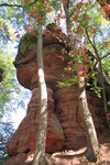 18.08.2020: Pflzerwald - Altschlossfelsen bei Eppenbrunn