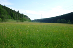 28.05.2012: Thüringen (Sonstiges) - im Tal der Schwarza (Nebenfluss der Hasel) beim gleichnamigen Ort