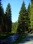 07.05.2008: Erzgebirge - Schwarzwassertal