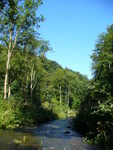 13.08.2008: Erzgebirge - Rabenauer Grund