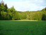 04.05.2009: Schsische Schweiz - im Sebnitztal bei Altendorf