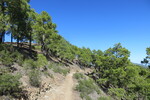 26.12.2018: Gran Canaria - Auf dem Rckweg vom Altavista