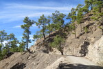 01.01.2019: Gran Canaria - Weg zwischen Degollada La Manzanilla und Cruz Grande