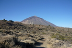 27.02.2012: Teneriffa - bei El Portillo; Blick zum Pico del Teide